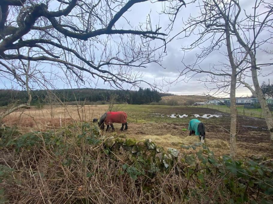 57 Peaceful Corner Caravan Campsite Balminnoch